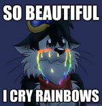 beauty.jpg
