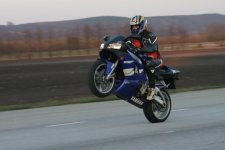 tretton 6634.jpg
