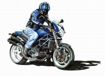Resize of ducS4.jpg