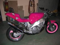 FZR_1000_006rosa.jpg