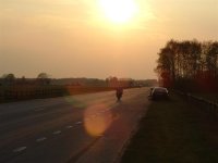 DSCF0090 (Medium).JPG