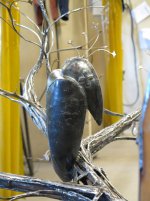 IMG_1047.jpg