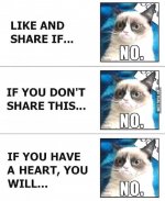 grumpy.jpg
