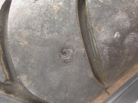 IMG_1033.jpg
