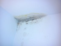 DSC_0137.jpg