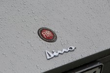 IMG_3082.jpg