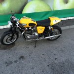 IMG_0294.jpg