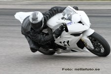 IMG_8268.jpg