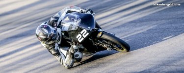 Mozz Falken 2.jpg