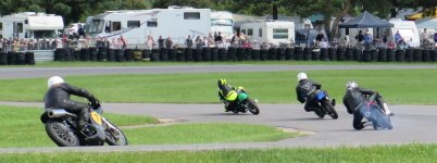 IMG_7795 cut.jpg