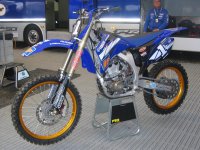 Cairoli.jpg