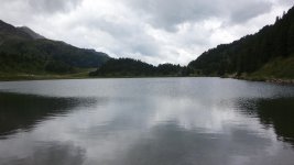DSC00247.jpg