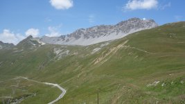 DSC00442.jpg