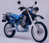 Kawasaki KLX650 93.jpg