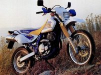 Suzuki DE650 96.jpg