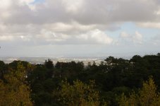 2015-11-21_09-01-30.jpg