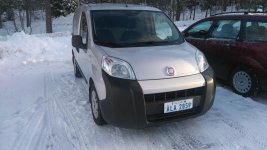 fiorino3.jpg
