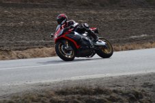 DSC_9399.jpg