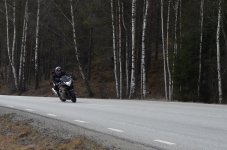 DSC_9492.jpg