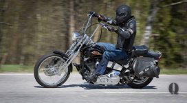 Softail.jpg
