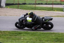 IMG_8567.jpg