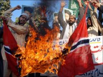 bränna flaggor.jpg