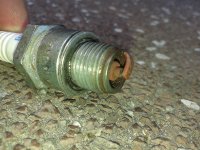 20160606_131330.jpg