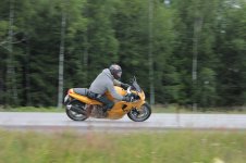IMG_1353 (2).jpg