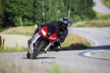 IMG_4096.jpg