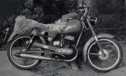 1963_4_ca_DKW.jpg