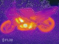 14517529_1257620794280465_2204549688951712337_n.jpg