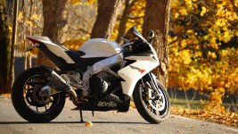IMG_5001-1-2.jpg