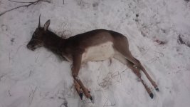 DSC_1683.JPG