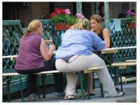 Bild4.JPG