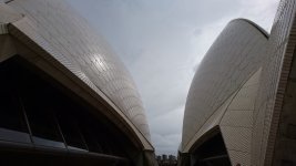DSC_0272.JPG