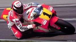 Wayne-Rainey-1991.jpg