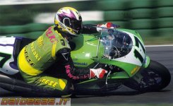 1995-anthony-gobert-kawasaki-superbike-hockenheim.jpg