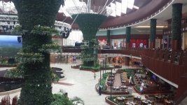 Optimized-MoQ food court.jpg