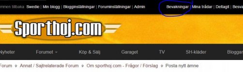 bevakning.jpg