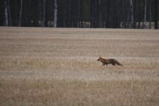 IMG_5085-1.jpg