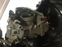 IMG_4965[1].JPG