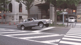 5o1_500.gif
