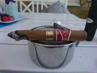 DSC_1800.jpg