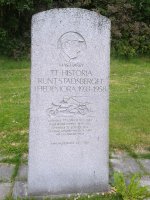 MinnesstenHedemora2017.jpg