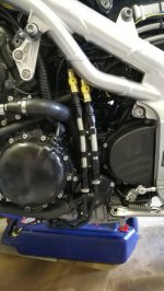 IMG_20170731_175238.jpg