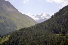 DSC_4589.JPG