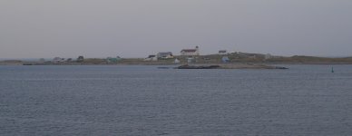 resize P1030551.jpg