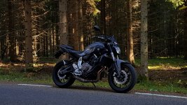 skogstur16%2F10-17_(1) (2).jpg
