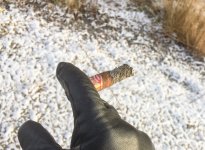 IMG_0290.jpg