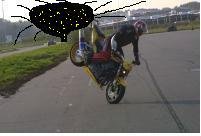 niklas1.jpg